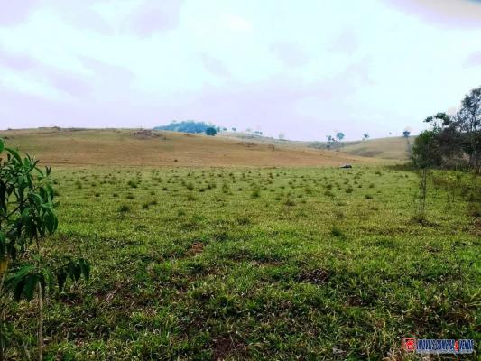 Fazenda à venda