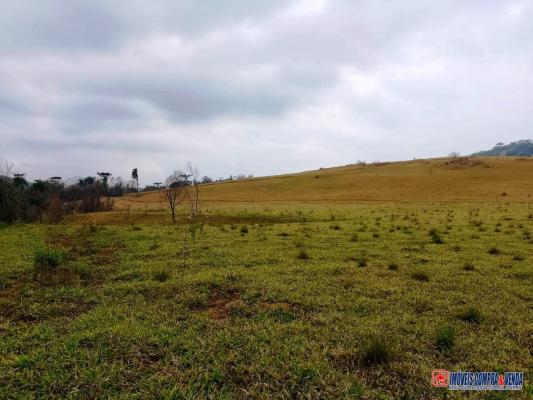 Fazenda à venda